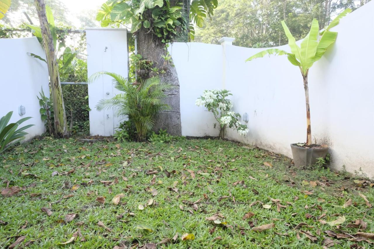 Casa Modi Villa Puerto Viejo de Talamanca Buitenkant foto